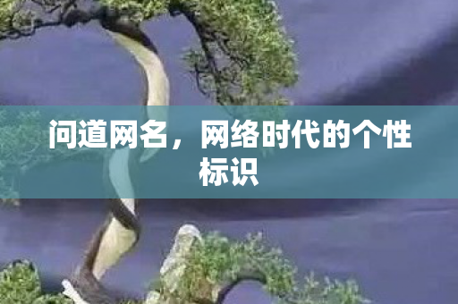 问道网名，网络时代的个性标识