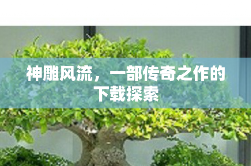 神雕风流，一部传奇之作的下载探索