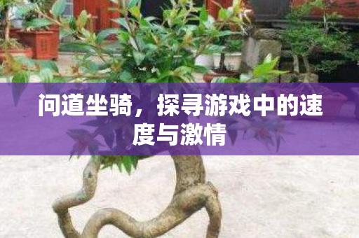 问道坐骑,探寻游戏中的速度与激情 问道坐骑,探寻游戏中的速度与激情