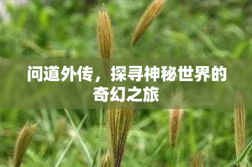 问道外传,探寻神秘世界的奇幻之旅 问道外传,探寻神秘世界的奇幻之旅