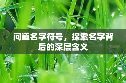 问道名字符号，探索名字背后的深层含义