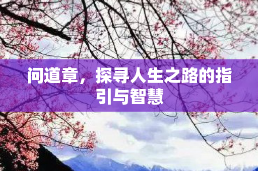 问道章，探寻人生之路的指引与智慧
