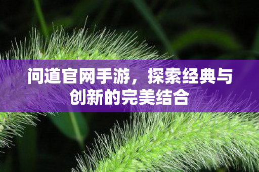 问道官网手游,探索经典与创新的完美结合 问道官网手游,探索经典与创新的完美结合