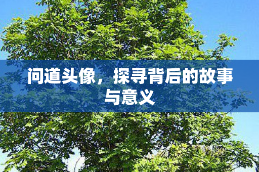 问道头像，探寻背后的故事与意义