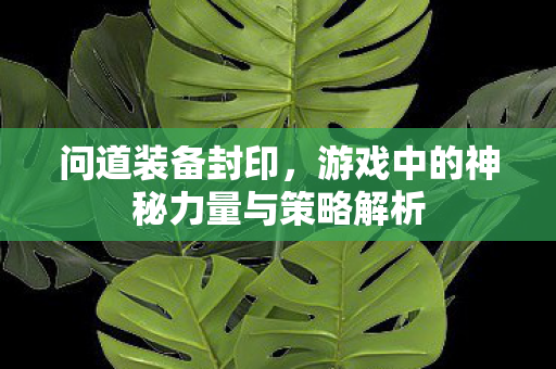 问道装备封印,游戏中的神秘力量与策略解析 问道装备封印,游戏中的神秘力量与策略解析