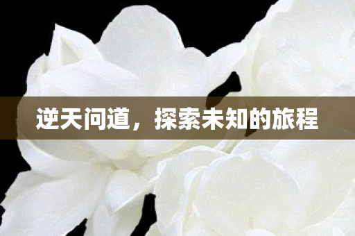 逆天问道,探索未知的旅程 逆天问道,探索未知的旅程