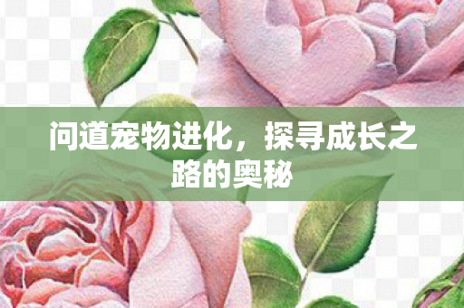 问道宠物进化,探寻成长之路的奥秘 问道宠物进化,探寻成长之路的奥秘