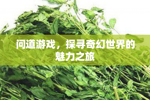 问道游戏，探寻奇幻世界的魅力之旅