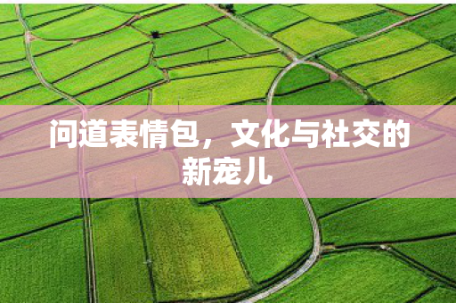 问道表情包，文化与社交的新宠儿