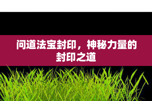 问道法宝封印,神秘力量的封印之道 问道法宝封印,神秘力量的封印之道