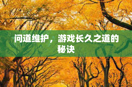问道维护，游戏长久之道的秘诀