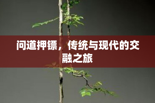 问道押镖，传统与现代的交融之旅
