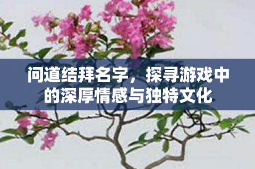 问道结拜名字，探寻游戏中的深厚情感与独特文化