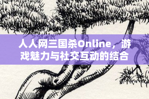 人人网三国杀Online,游戏魅力与社交互动的结合 人人网三国杀Online,游戏魅力与社交互动的结合