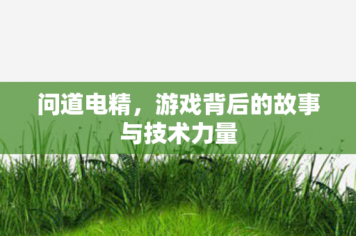 问道电精，游戏背后的故事与技术力量