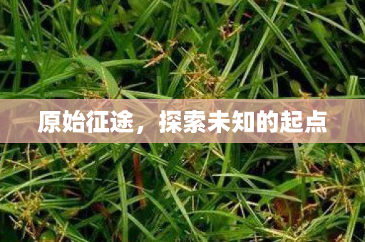 原始征途,探索未知的起点 原始征途,探索未知的起点