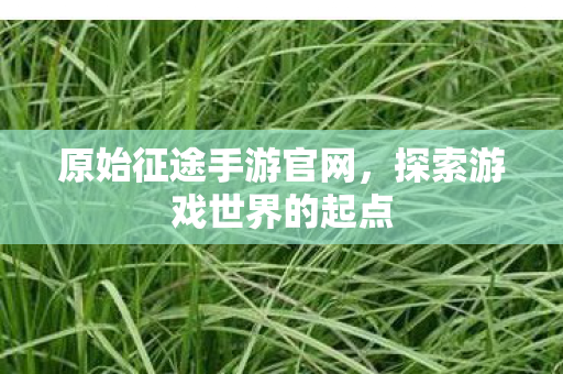 原始征途手游官网,探索游戏世界的起点 原始征途手游官网,探索游戏世界的起点