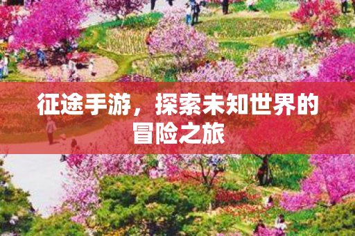 征途手游,探索未知世界的冒险之旅 征途手游,探索未知世界的冒险之旅