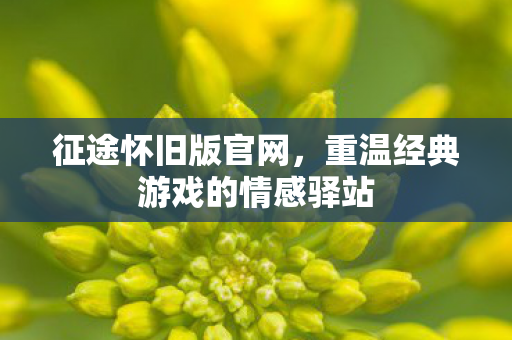 征途怀旧版官网,重温经典游戏的情感驿站 征途怀旧版官网,重温经典游戏的情感驿站