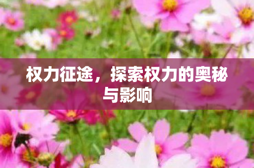 权力征途，探索权力的奥秘与影响