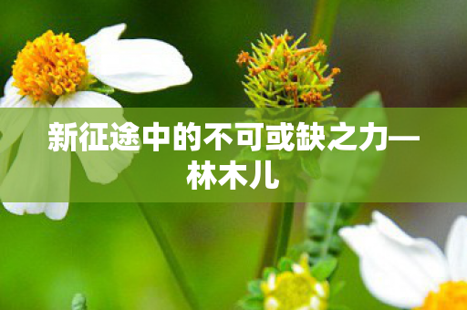 新征途中的不可或缺之力—林木儿