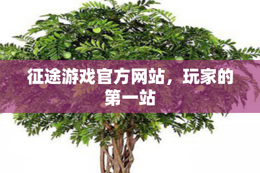 征途游戏官方网站，玩家的第一站