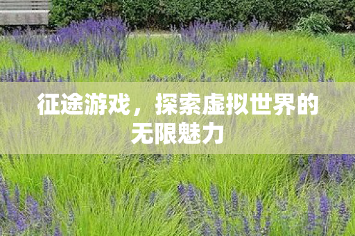 征途游戏，探索虚拟世界的无限魅力