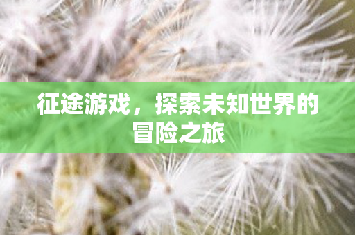 征途游戏，探索未知世界的冒险之旅