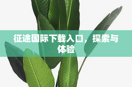 征途国际下载入口，探索与体验