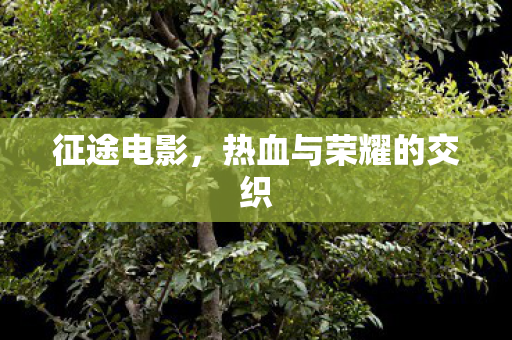 征途电影，热血与荣耀的交织