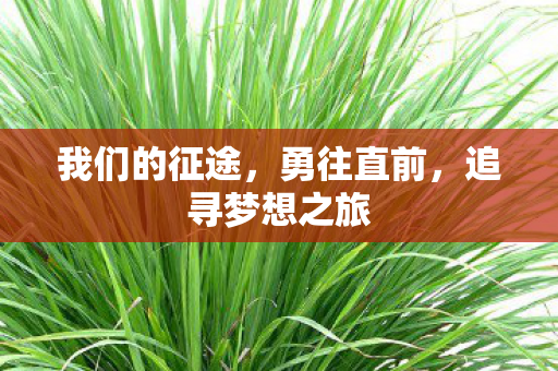 我们的征途，勇往直前，追寻梦想之旅