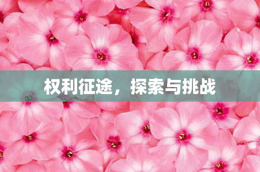 权利征途，探索与挑战