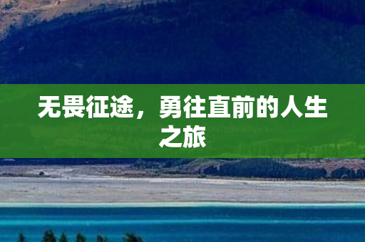 无畏征途，勇往直前的人生之旅