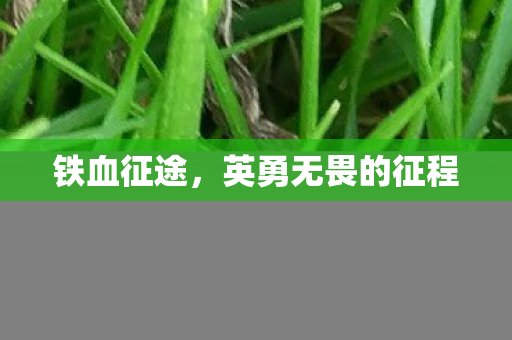 铁血征途，英勇无畏的征程