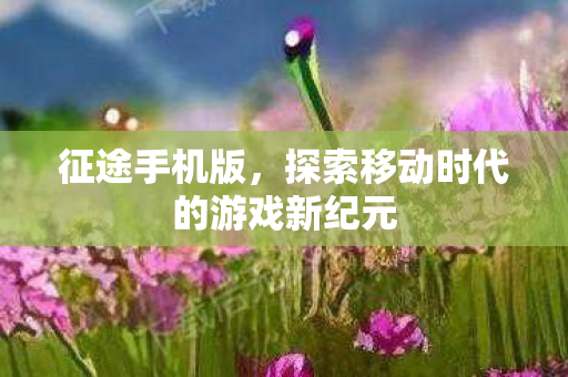 征途手机版，探索移动时代的游戏新纪元