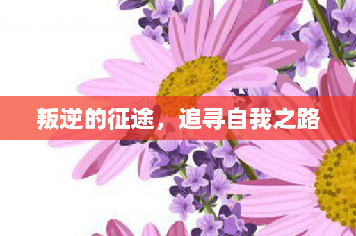 叛逆的征途，追寻自我之路