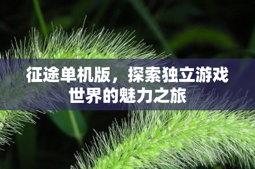 征途单机版，探索独立游戏世界的魅力之旅