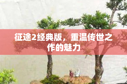 征途2经典版,重温传世之作的魅力 征途2经典版,重温传世之作的魅力