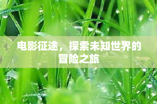 电影征途,探索未知世界的冒险之旅 电影征途,探索未知世界的冒险之旅