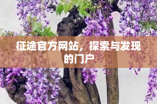 征途官方网站，探索与发现的门户
