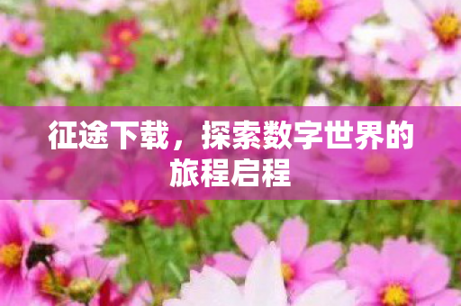 征途下载，探索数字世界的旅程启程