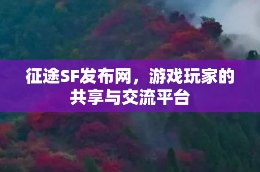 征途SF发布网，游戏玩家的共享与交流平台
