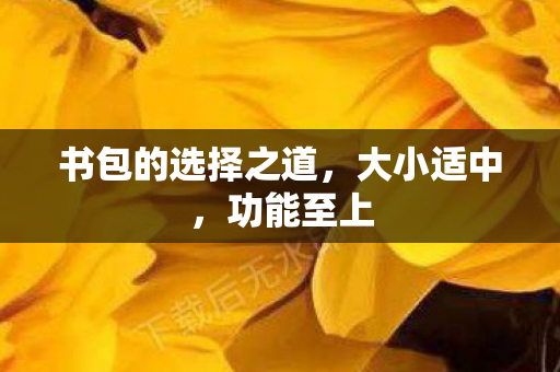 书包的选择之道，大小适中，功能至上