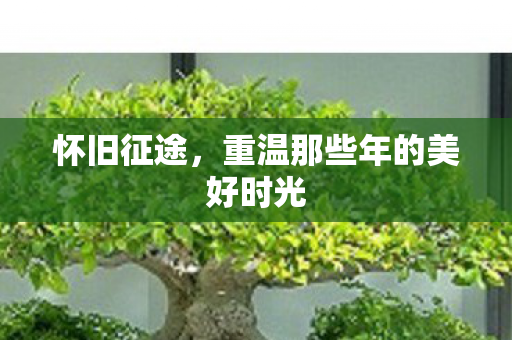 怀旧征途，重温那些年的美好时光