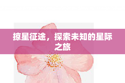 掠星征途，探索未知的星际之旅