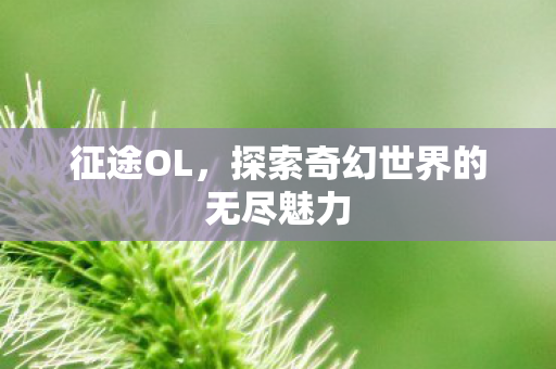 征途OL，探索奇幻世界的无尽魅力