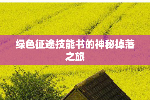 绿色征途技能书的神秘掉落之旅