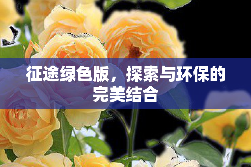 征途绿色版，探索与环保的完美结合