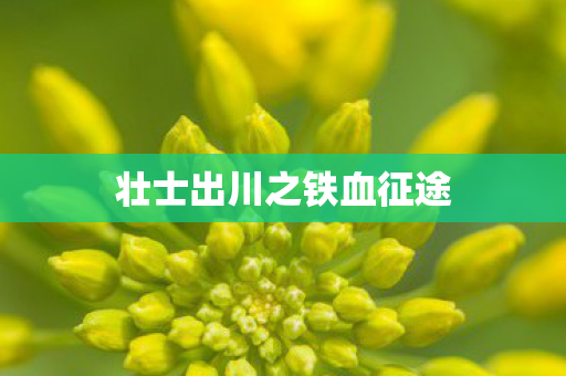 壮士出川之铁血征途