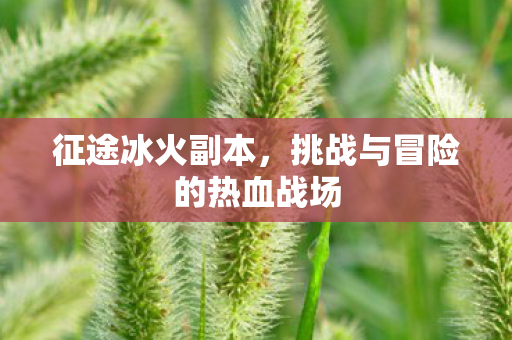 征途冰火副本，挑战与冒险的热血战场